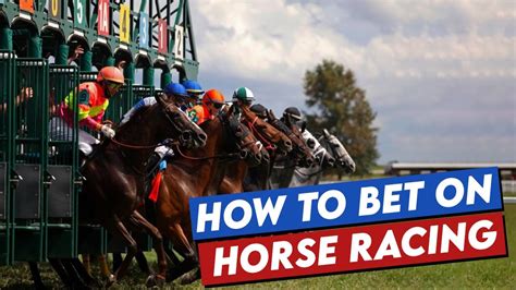 horse racing betting for beginners